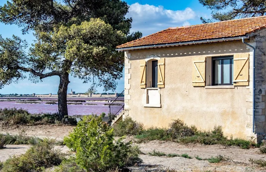 Cabane Du Saunier Au Commun - Electre-1
